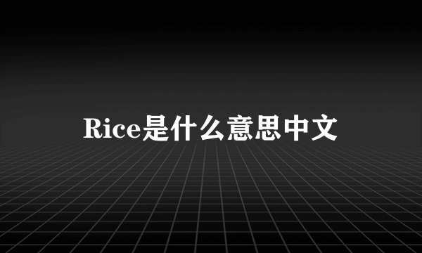 Rice是什么意思中文