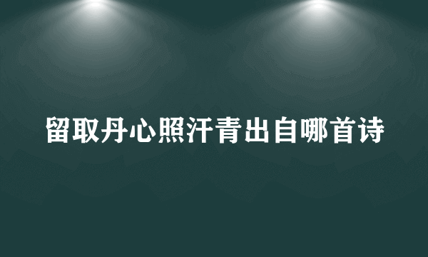 留取丹心照汗青出自哪首诗