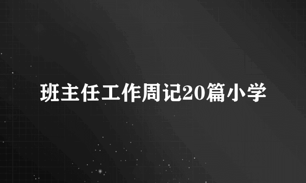 班主任工作周记20篇小学