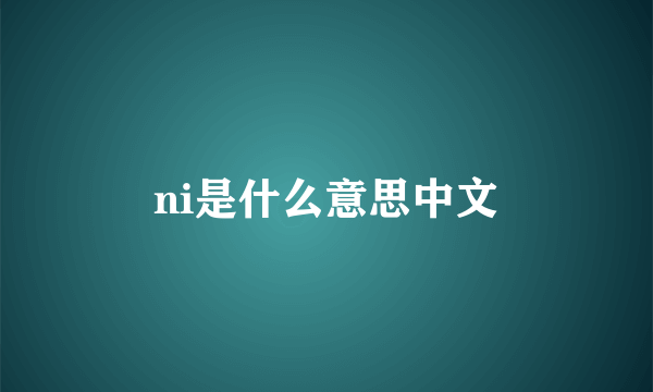 ni是什么意思中文