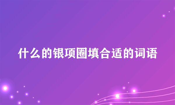 什么的银项圈填合适的词语
