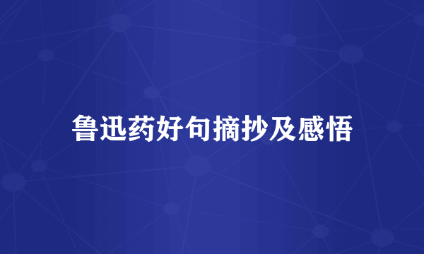 鲁迅药好句摘抄及感悟