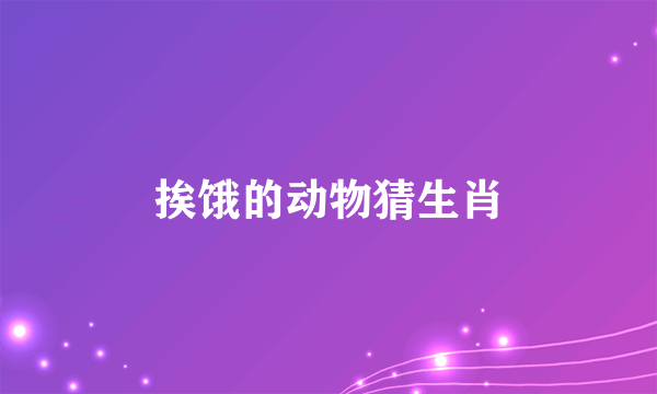 挨饿的动物猜生肖