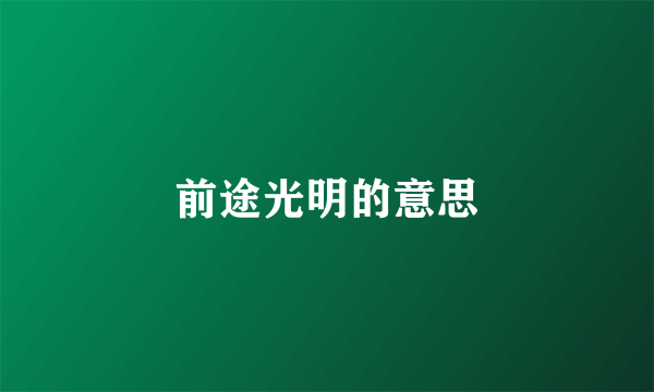 前途光明的意思