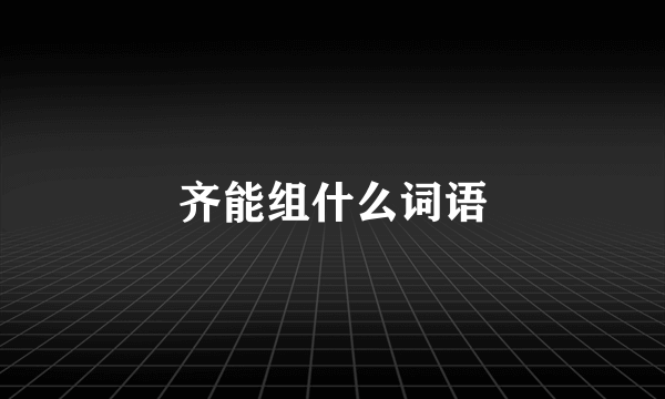 齐能组什么词语