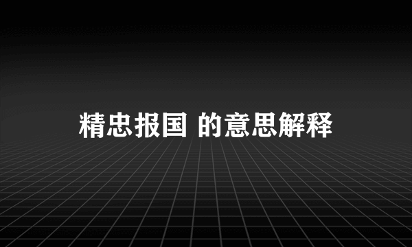 精忠报国 的意思解释