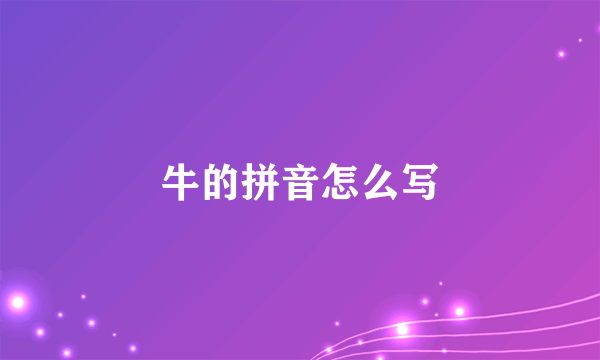 牛的拼音怎么写
