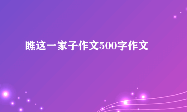 瞧这一家子作文500字作文