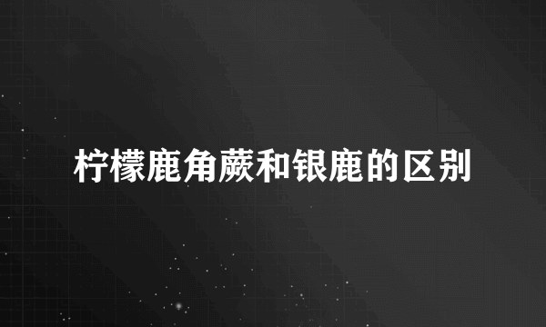 柠檬鹿角蕨和银鹿的区别