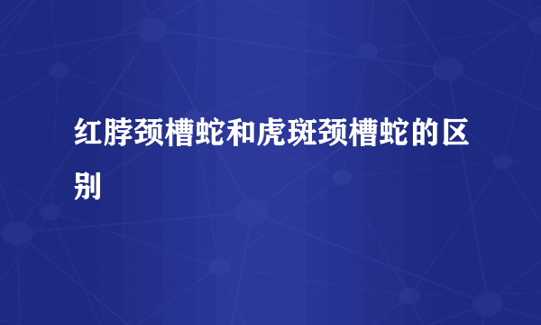 红脖颈槽蛇和虎斑颈槽蛇的区别