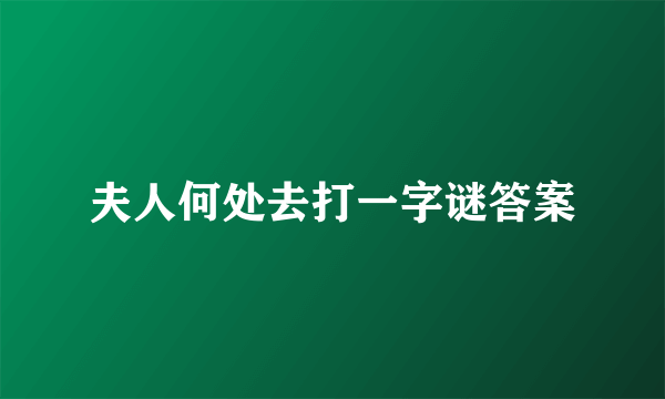 夫人何处去打一字谜答案