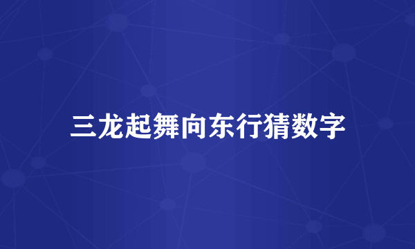 三龙起舞向东行猜数字