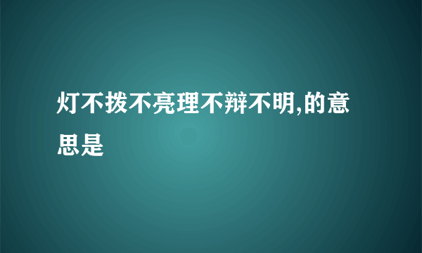 灯不拨不亮理不辩不明,的意思是
