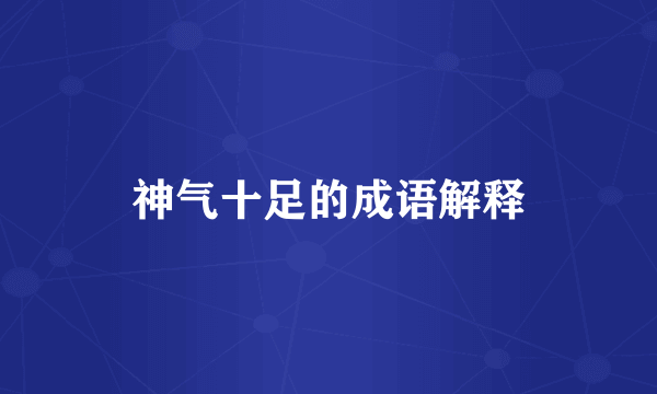 神气十足的成语解释