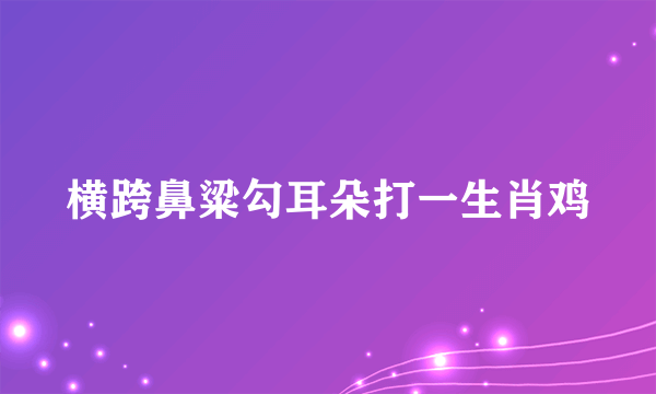横跨鼻粱勾耳朵打一生肖鸡