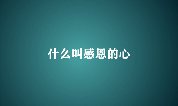 什么叫感恩的心
