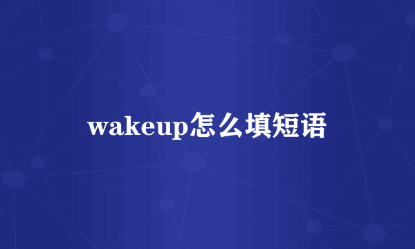 wakeup怎么填短语
