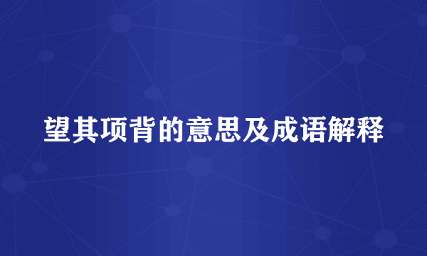 望其项背的意思及成语解释