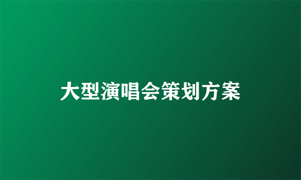 大型演唱会策划方案