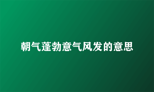 朝气蓬勃意气风发的意思
