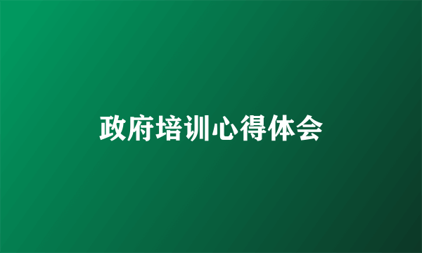 政府培训心得体会