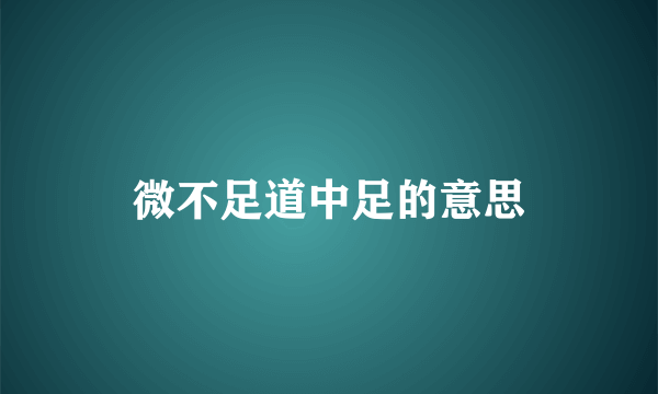 微不足道中足的意思