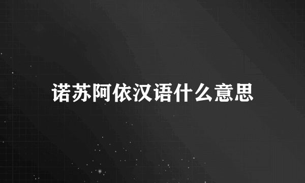 诺苏阿依汉语什么意思