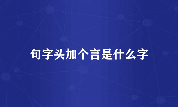 句字头加个言是什么字