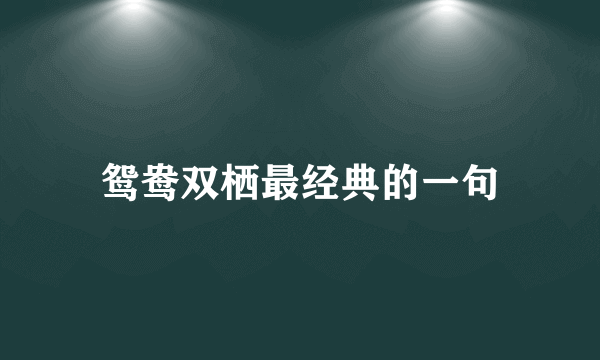 鸳鸯双栖最经典的一句