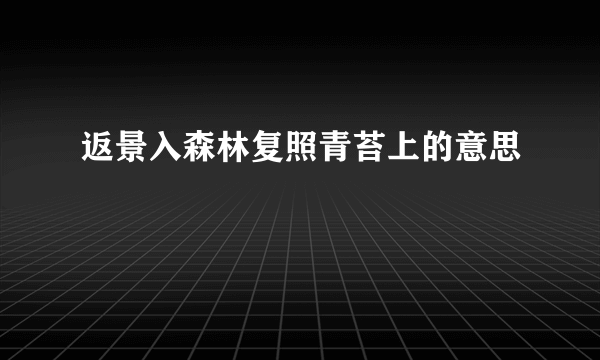 返景入森林复照青苔上的意思
