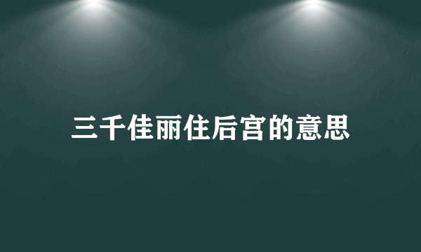三千佳丽住后宫的意思