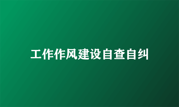 工作作风建设自查自纠