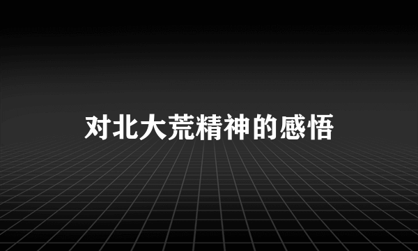 对北大荒精神的感悟