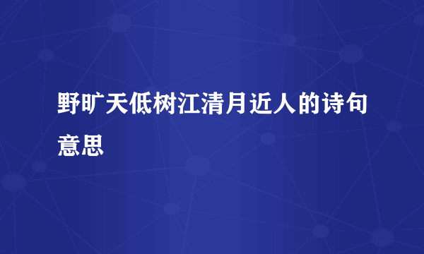 野旷天低树江清月近人的诗句意思