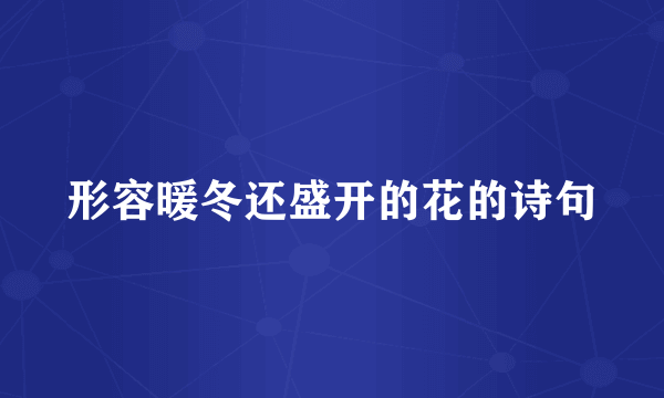 形容暖冬还盛开的花的诗句