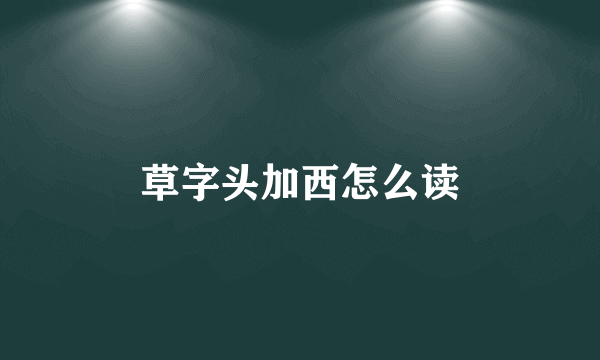 草字头加西怎么读