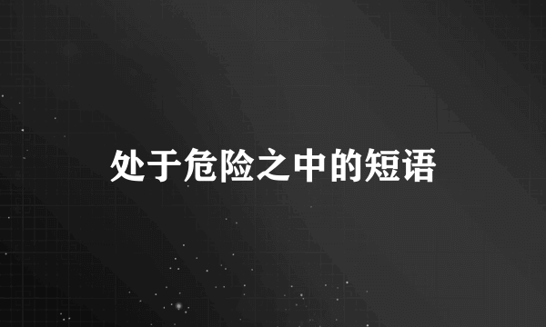 处于危险之中的短语