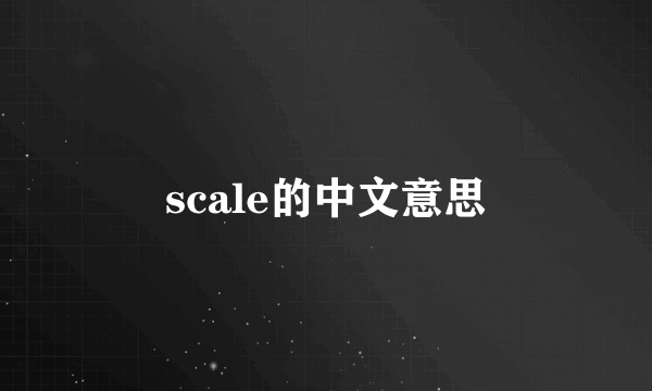 scale的中文意思