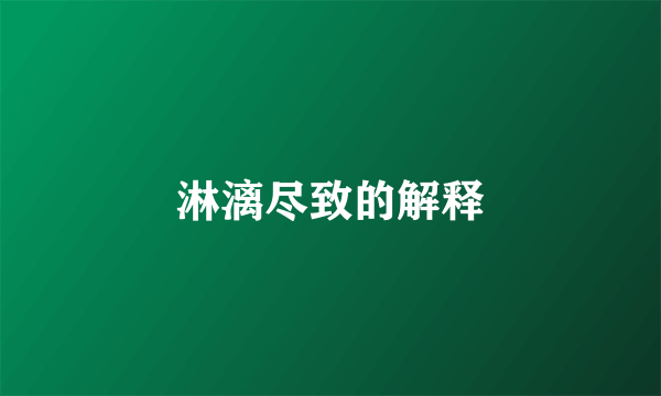 淋漓尽致的解释