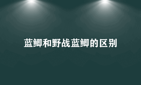 蓝鲫和野战蓝鲫的区别