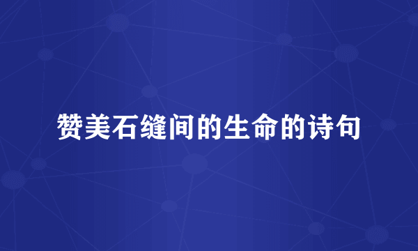 赞美石缝间的生命的诗句
