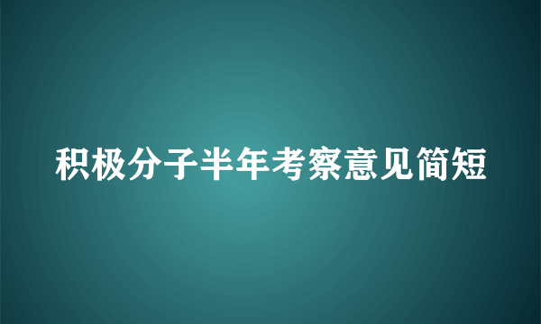积极分子半年考察意见简短