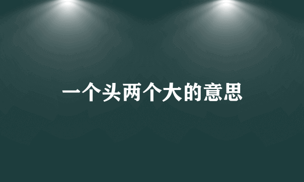 一个头两个大的意思