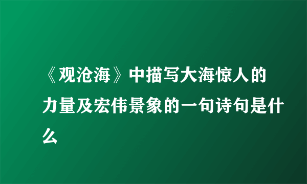 《观沧海》中描写大海惊人的力量及宏伟景象的一句诗句是什么