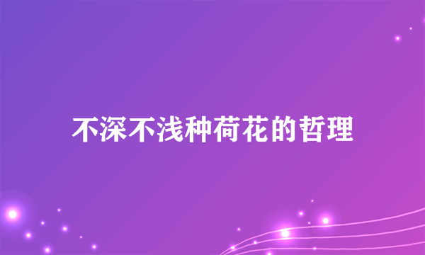 不深不浅种荷花的哲理