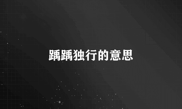 踽踽独行的意思