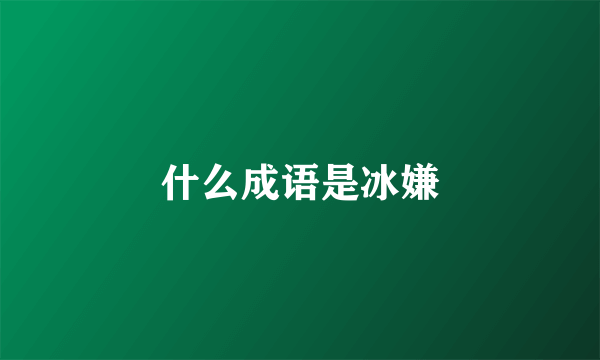什么成语是冰嫌