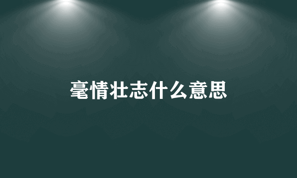 毫情壮志什么意思