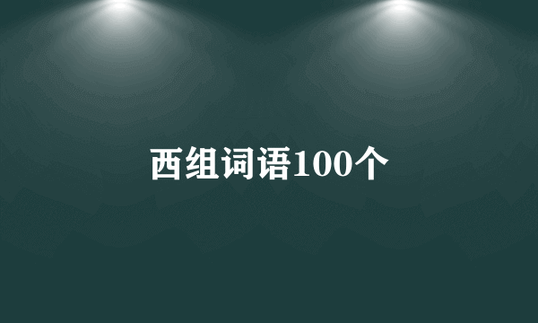 西组词语100个