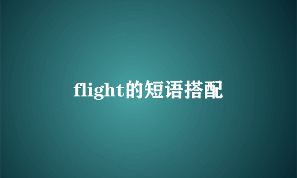 flight的短语搭配